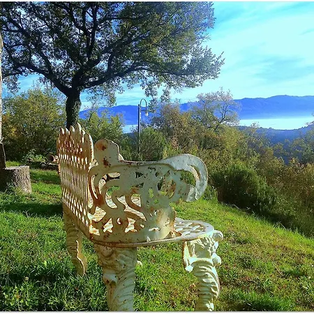 Montena *